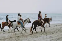 New Naxos Village - Homestays