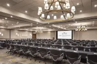 The Scottsdale Resort and Spa, Curio Collection by Hilton - Pet-friendly