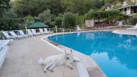 Angels Garden Hotel - Rooftop Pools