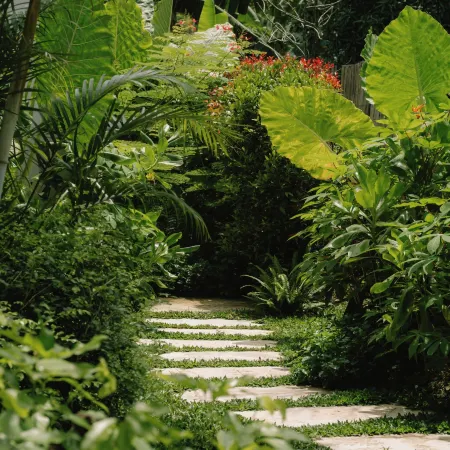 Ananda House