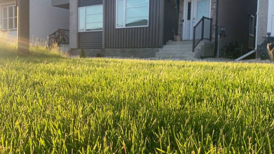 Haven in the Prairies 1BR S