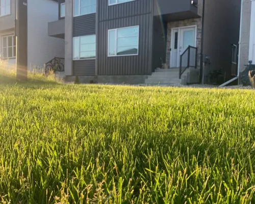 Haven in the Prairies 1BR S Hotels near Fort Gary