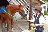 Horse Riding Club Amagi Horse Village - Villas
