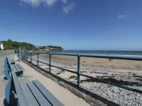 Salty Puffin - Beach