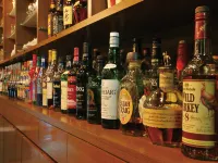 Okazaki New Grand Hotel - Bar