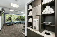 克雷斯特維尤萬楓酒店及套房 - 健身室/gym room