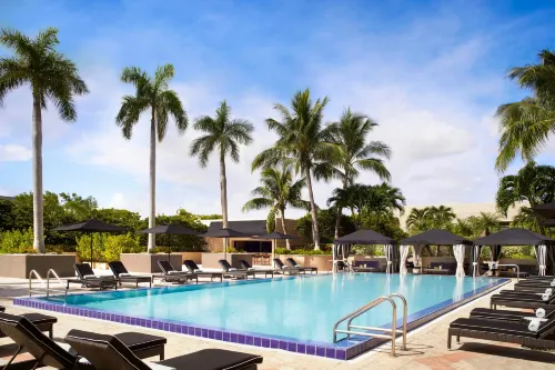 The Ritz-Carlton Coconut Grove, Miami - 5 Sao