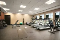 Hampton Inn Kernersville - Gym