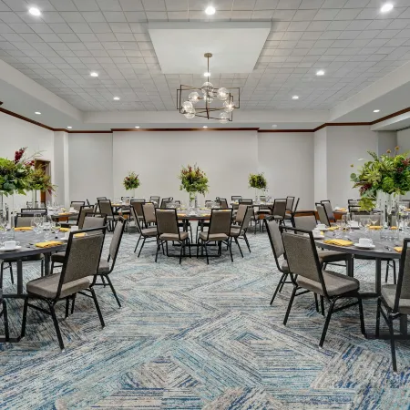 Hilton Garden Inn Houston Medical Center, TX