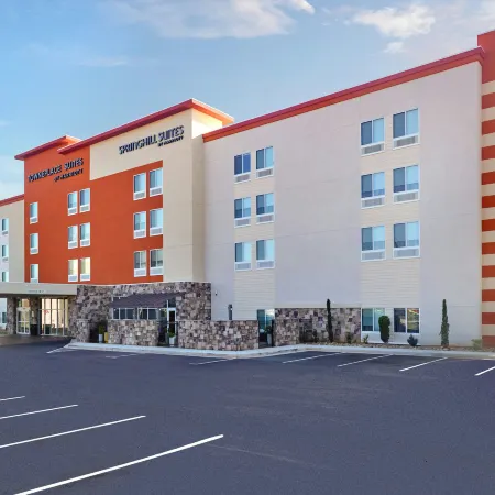 SpringHill Suites by Marriott Locust Grove