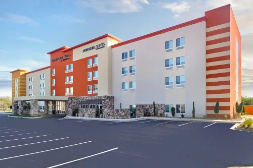 洛克斯特格羅夫SpringHill Suites酒店 - 早餐