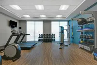 Hampton Inn & Suites by Hilton Middleburg - Gym