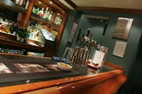 Apollo Hotel - bar