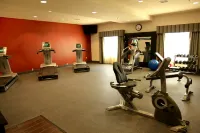 Hampton Inn & Suites by Hilton Carlsbad - parking