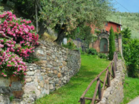 I Limoni (But151) Hotels in Buti