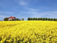 Gollwitzer Park (Insel Poel) - Homestays
