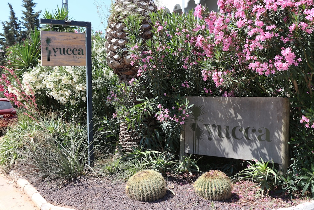 Yucca Alaçatı