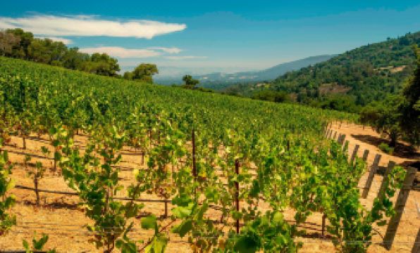 Santa Clara Marriott