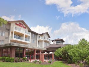 Hilton Garden Inn Wisconsin Dells