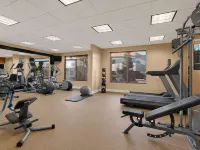 Hilton Garden Inn San Francisco Airport North Hotels near Cow Palace