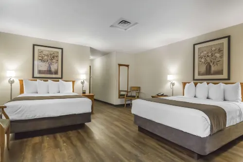 Quality Inn & Suites - bar