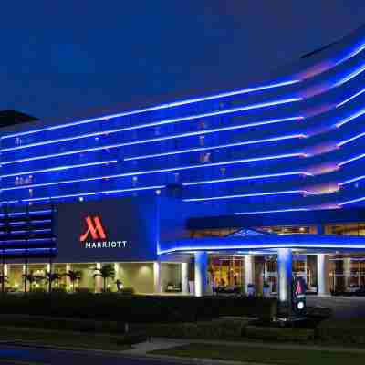 Clearwater Beach Marriott Suites on Sand Key Hotel Exterior