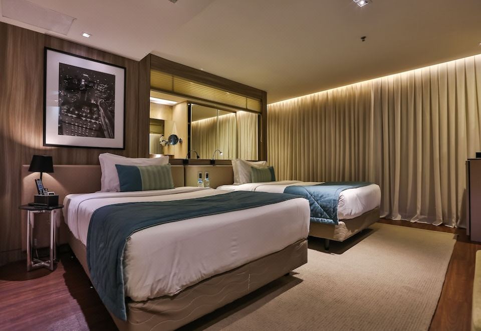 Radisson Sao Paulo Vila Olimpia Over view