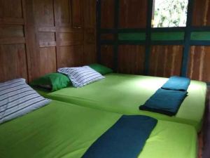 3 Bedroom at Villa Pohon
