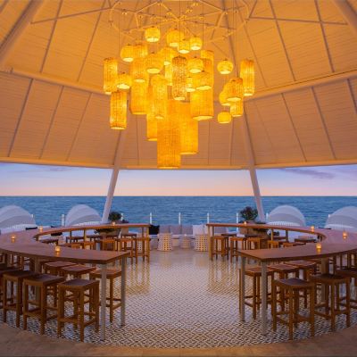 Restaurant Paloma Foresta Photo