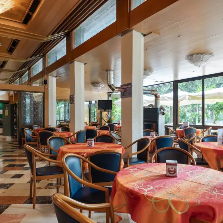 Hotel Palme & Suite Hotels in Garda Town