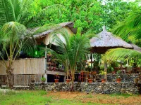 Tori's Backpackers Paradise Hotels in 