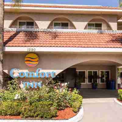 Comfort Inn Escondido San Diego North County Hotel Exterior