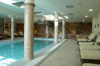 Hotel Hospes Palacio de Arenales & Spa Cáceres - piscina