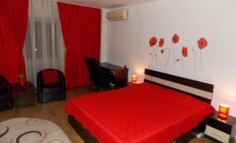Studio Lujerului Bucuresti