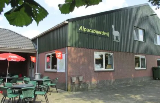 德阿爾帕卡博爾德里酒店