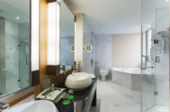 Holiday Inn NANJING AQUA CITY by IHG