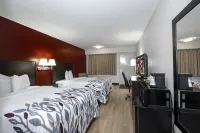 레드 루프 인 블루밍턴 - 노멀 유니버시티 블루밍턴 호텔