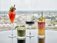 哈瑟爾特麗笙酒店 - 酒吧