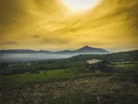 Selayang Olivehill - Luxury Glamping in the Forest Hotels in Cigombong
