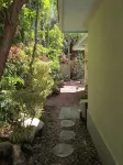 An Island Getaway at Palm Tree Villas