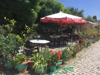 Sinasos Arnovalley Hotel Hotels in Ayvali
