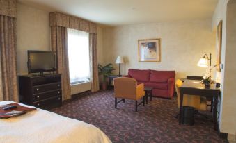 Hampton Inn & Suites Dallas-Arlington North-Entertainment District