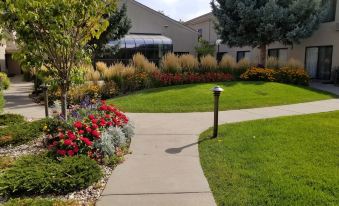 Courtyard Fort Collins