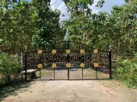 Orange Orchid - 6BHK Private Pool Villa