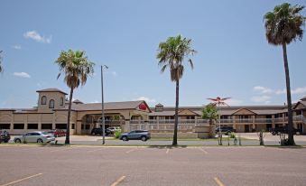 OYO Hotel McAllen Airport South