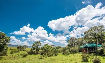 Losokwan Luxury Tented Camp - Maasai Mara