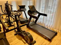 Best Western Plus Crystal, Hotel & Spa - Gym