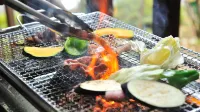 All Resort Service Holiday Homes and Cottages to Rent