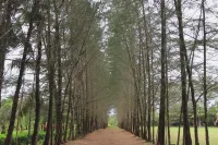 Derma Home Stay Hoteles en Pinang