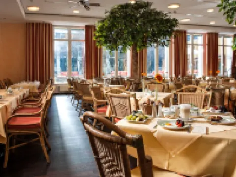 ホテル エルプフロレンツ ドレスデン ドレスデンのホテル